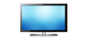 Business IP Voice and Internet Service