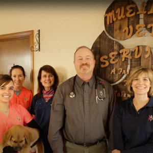 Mueller's Vet Clinic