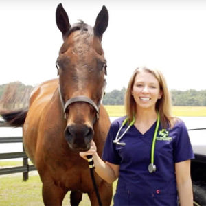 Riverstone Animal Hospital