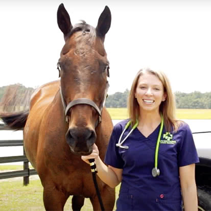 Riverstone Animal Hospital