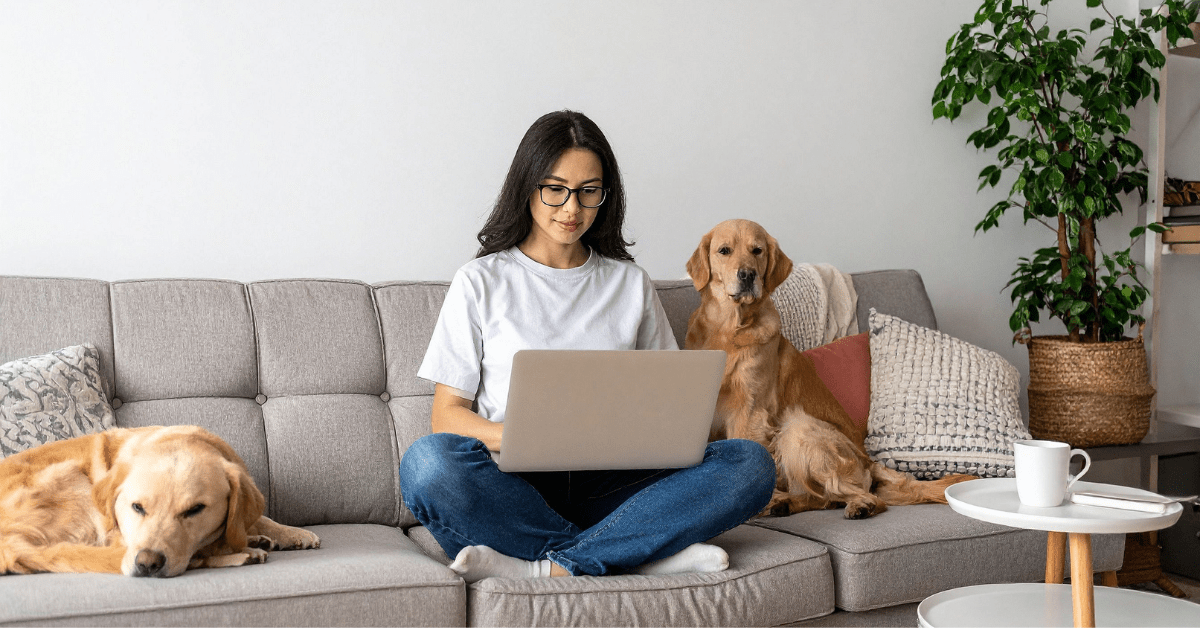 A woman sits on her couch at home with two dogs to research why HTC is the best internet provider for her needs